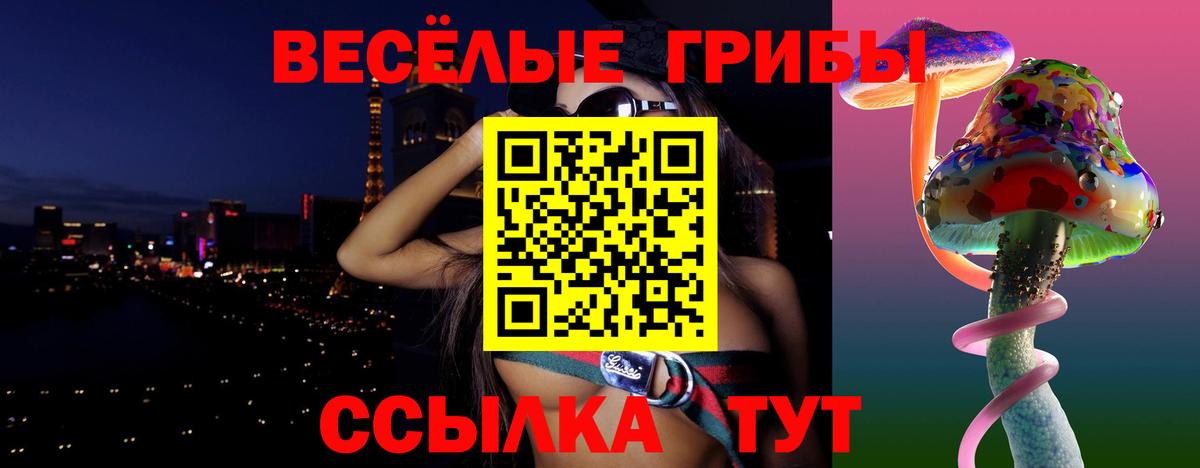 Галлюциногенные грибы MAGIC MUSHROOMS  Вход с VPN  Балашиха 